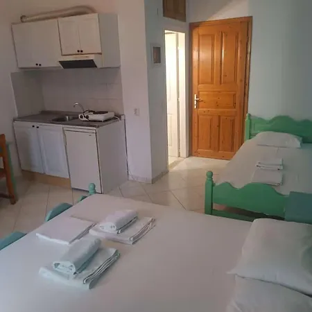 Nikos And Penthouse شقة فاسيليكي